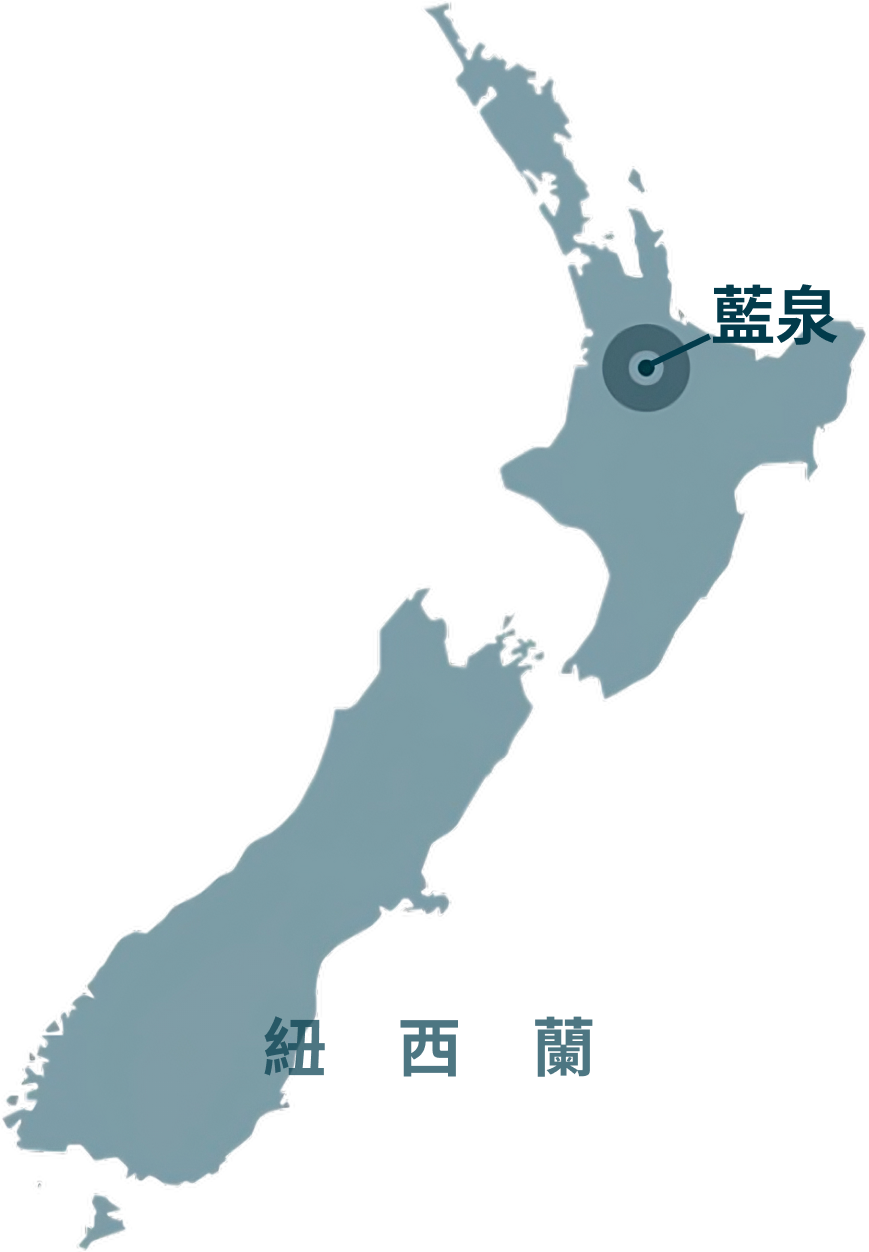藍泉位於紐西蘭北部Putaruru的Te Waihou River
